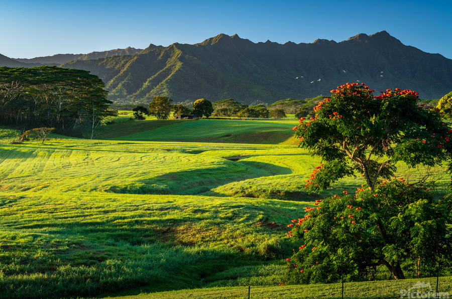 Early morning light on garden island of Kauai  Imprimer
