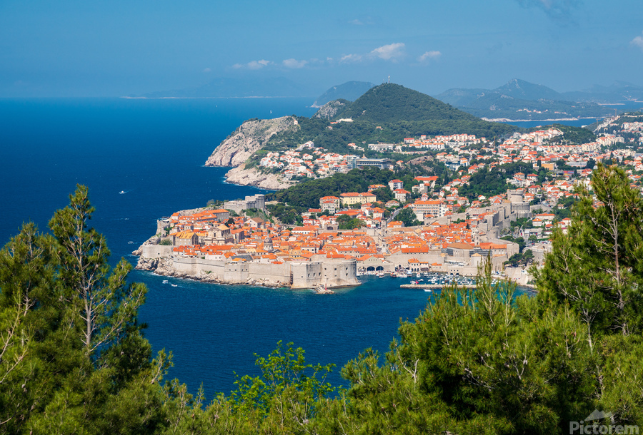 Fortress town of Dubrovnik in Croatia framed by trees  Print