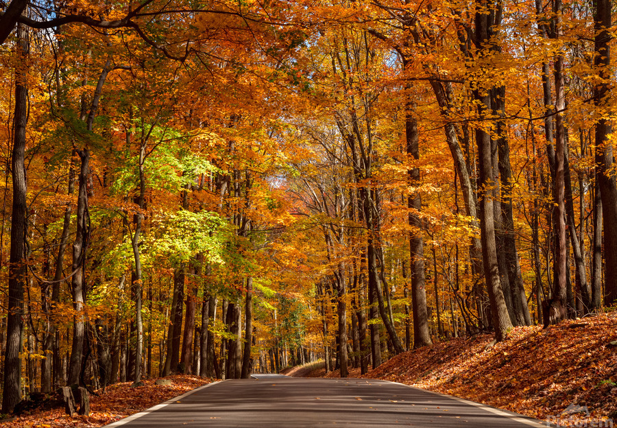 Road leading to Coopers Rock state park  Print