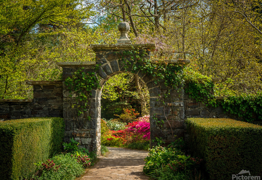 Azaleas and Rhododendron trees surround gateway in spring  Print