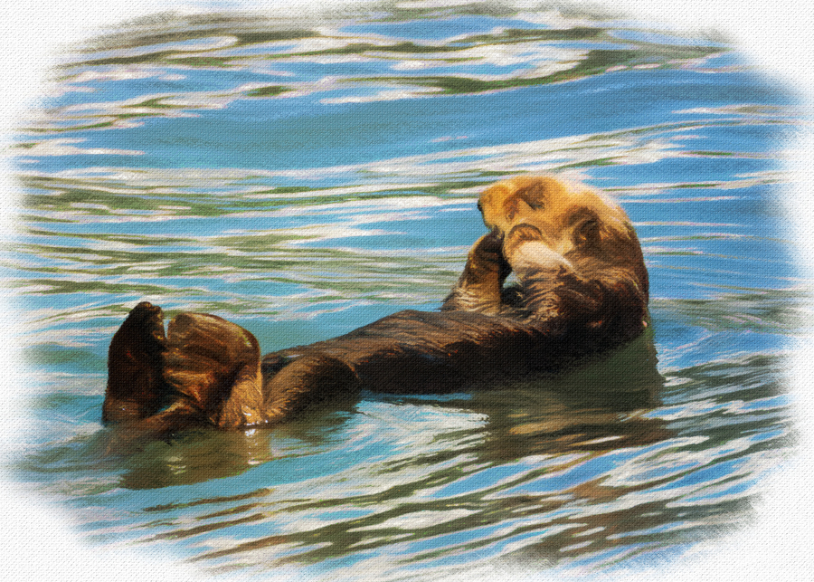 Digital pastel of Sea Otter floating in the sea  Print