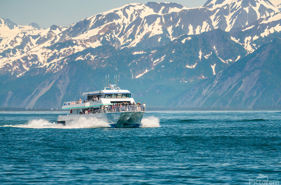 Kenai Fjord boat tour near Seward Alaska  Imprimer