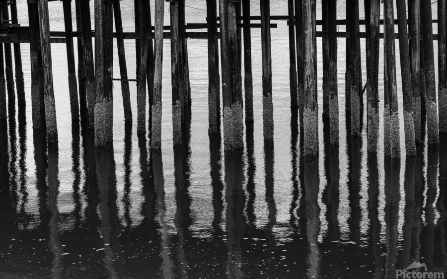 Black and whited wooden pier structure at Icy Strait Point  Print