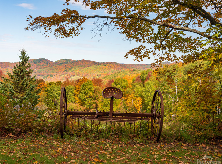 Horse drawn rake by fall colors in Vermont  Print