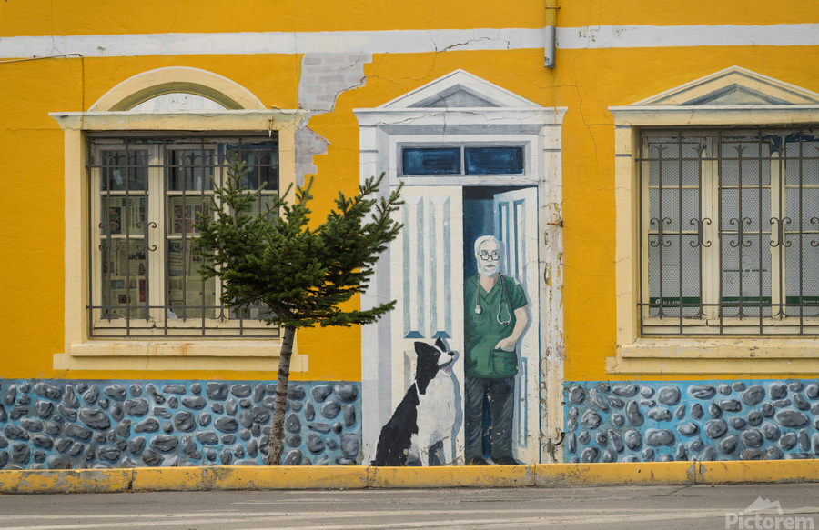 Wall mural on building in Punta Arenas in Chile  Print