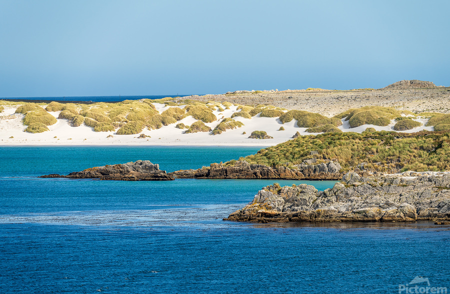 White sandy beaches near Port Stanley on Falkland Islands on sun  Print