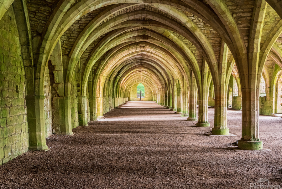 Cellarium at Fountains Abbey ruins in Yorkshire England  Print