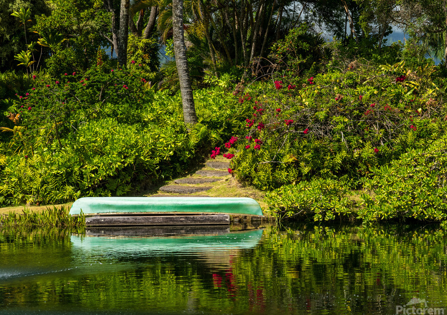 Green canoe on dock reflecting into calm lake or pond in garden  Print