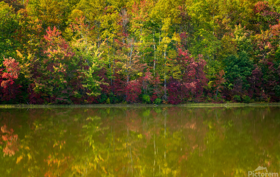 Fall leaves surround reservoir in Coopers Rock State Forest in W  Print