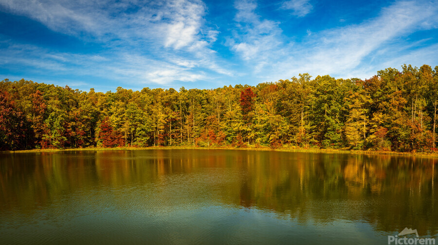 Fall leaves surround reservoir in Coopers Rock State Forest in W  Print
