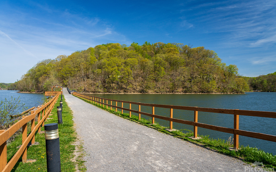Pathway to spring leaves in Cheat Lake Morgantown WV  Print