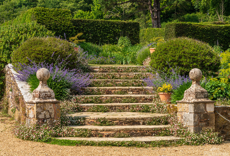 Stone steps into a hedged flower garden on the Isle of Wight  Print