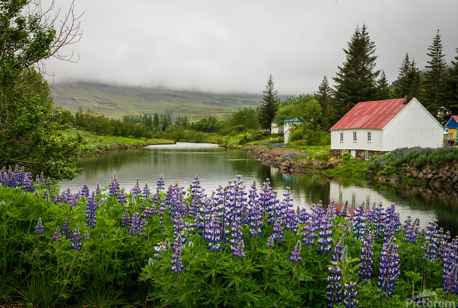 Peaceful scene in Seydisfjordur of river flowing from misty moun  Print