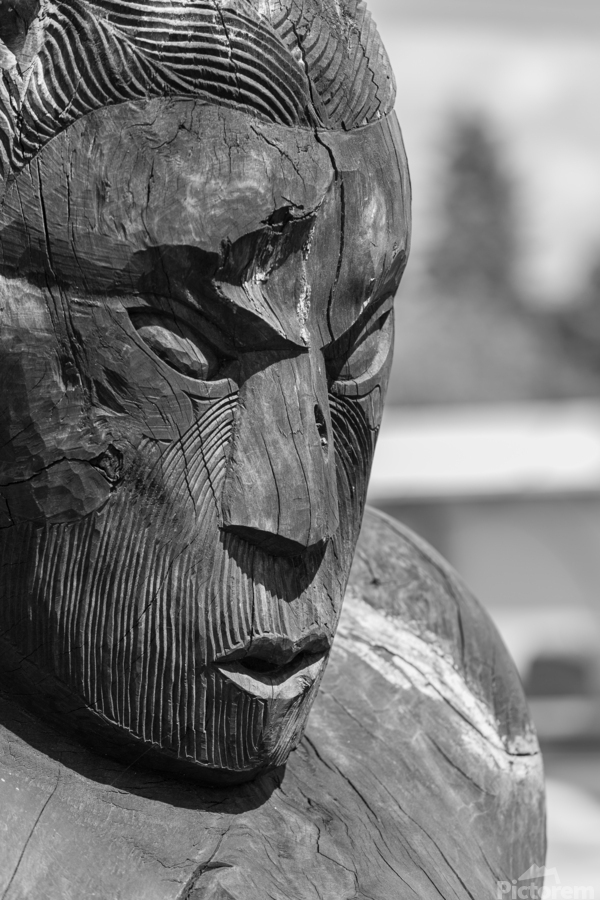 Maori carved head at Whakarewarewa  Imprimer