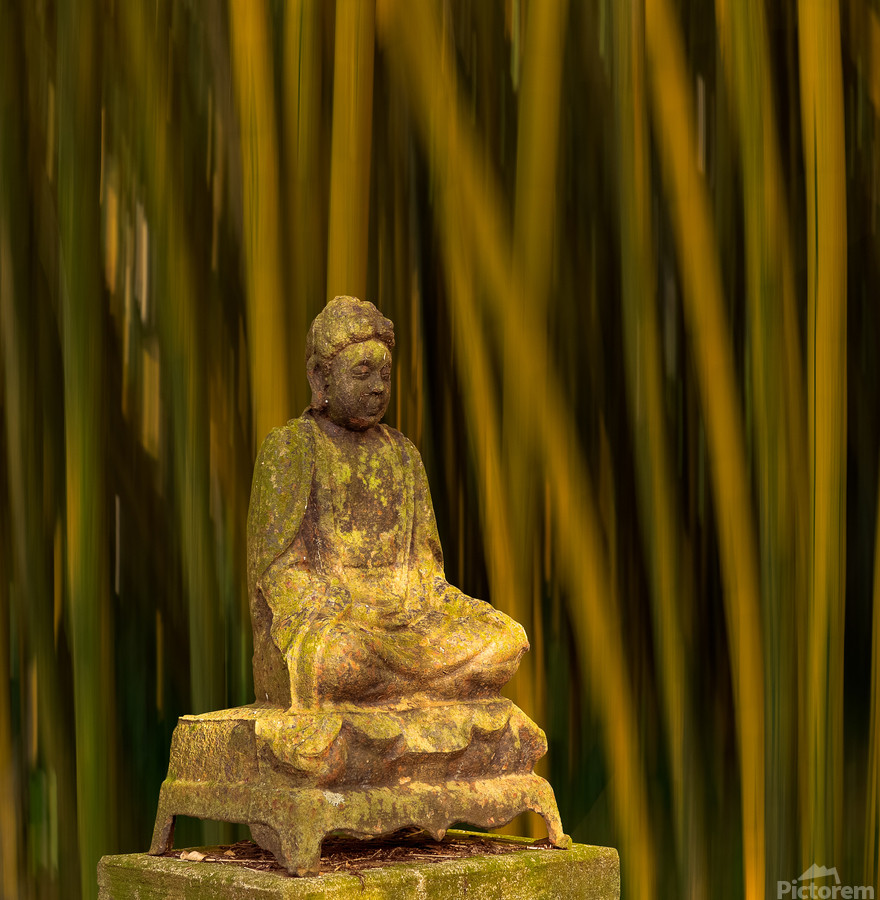 Buddha statue in bamboo forest  Print