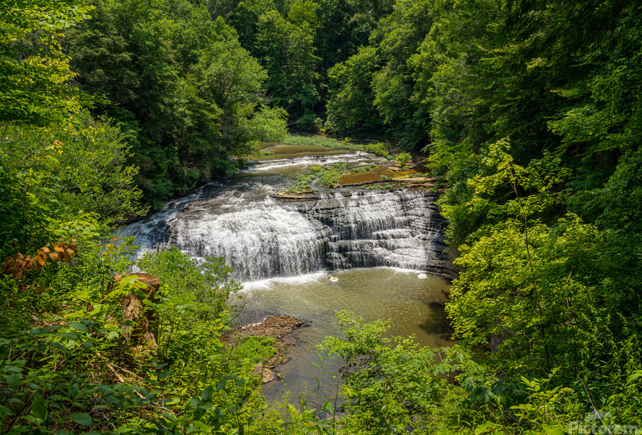 Burgess Falls in Tennessee in summer  Print