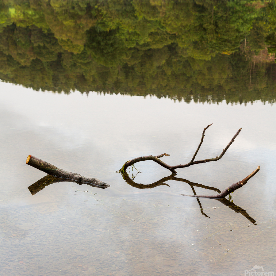 Reflection of branch in Coniston Water   Imprimer