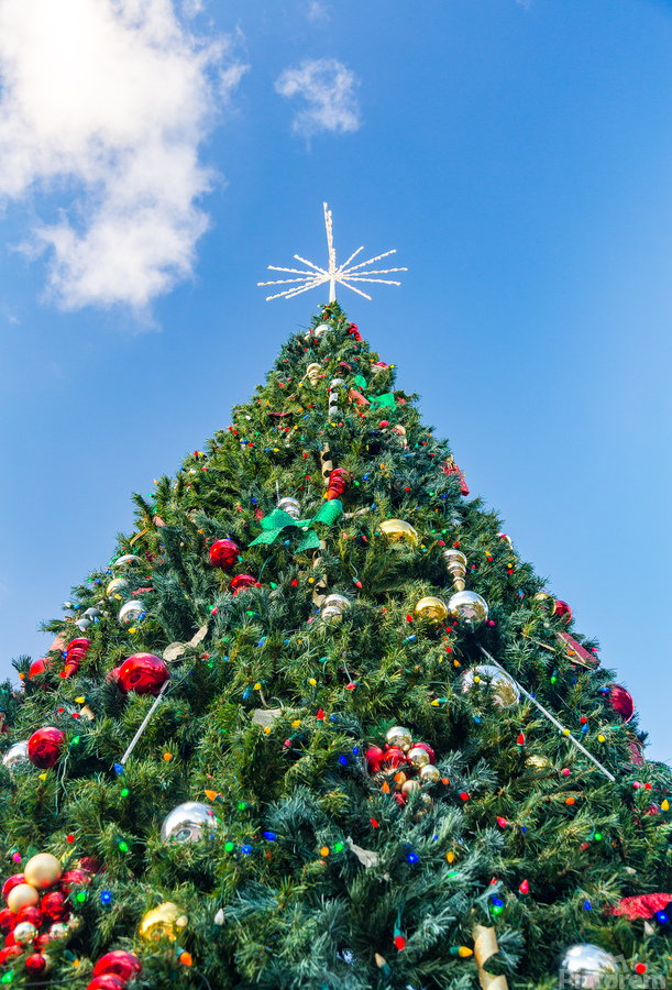 Large decorated external christmas tree  Imprimer