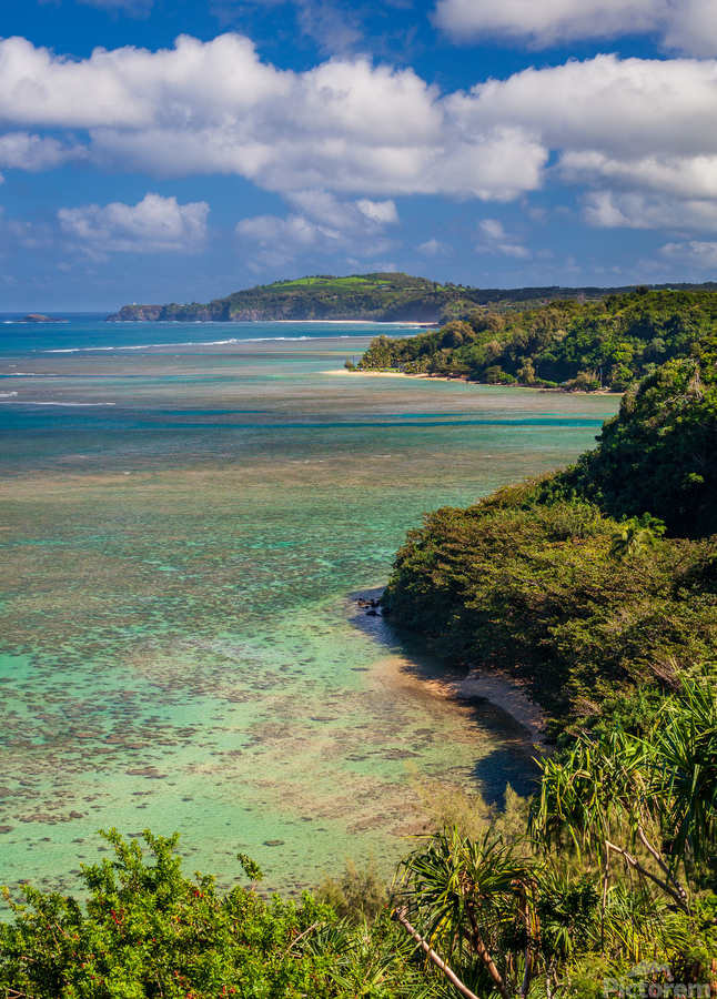 Sealodge and anini beach in Kauai  Imprimer