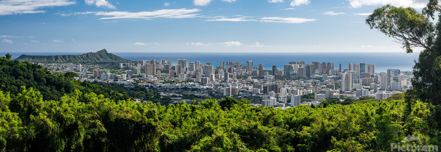 Panorama of Waikiki and Honolulu  Print