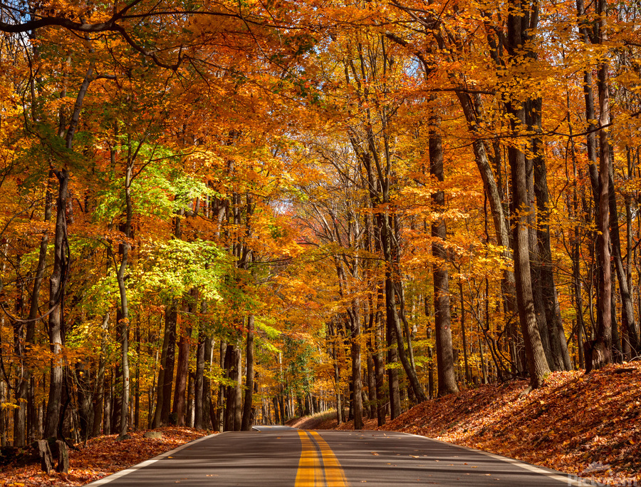Road leading to Coopers Rock state park  Print