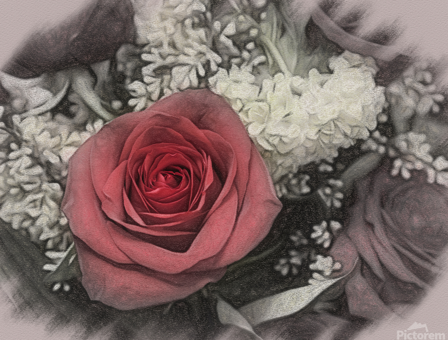 Color charcoal drawing of red rose bouquet  Print