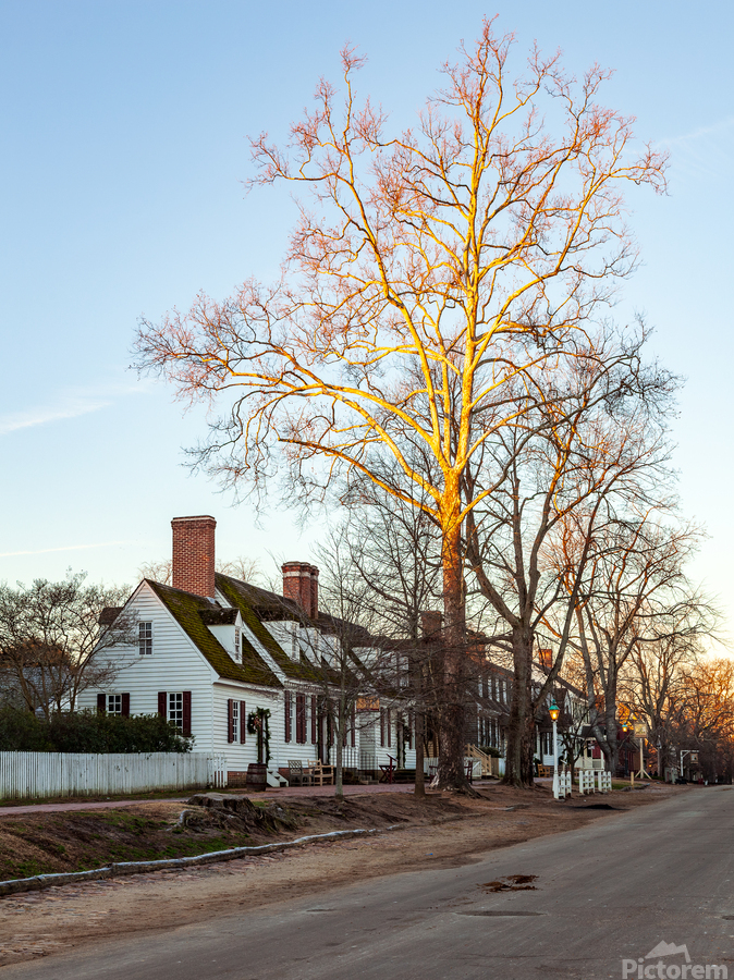 Old houses in Colonial Williamsburg  Print
