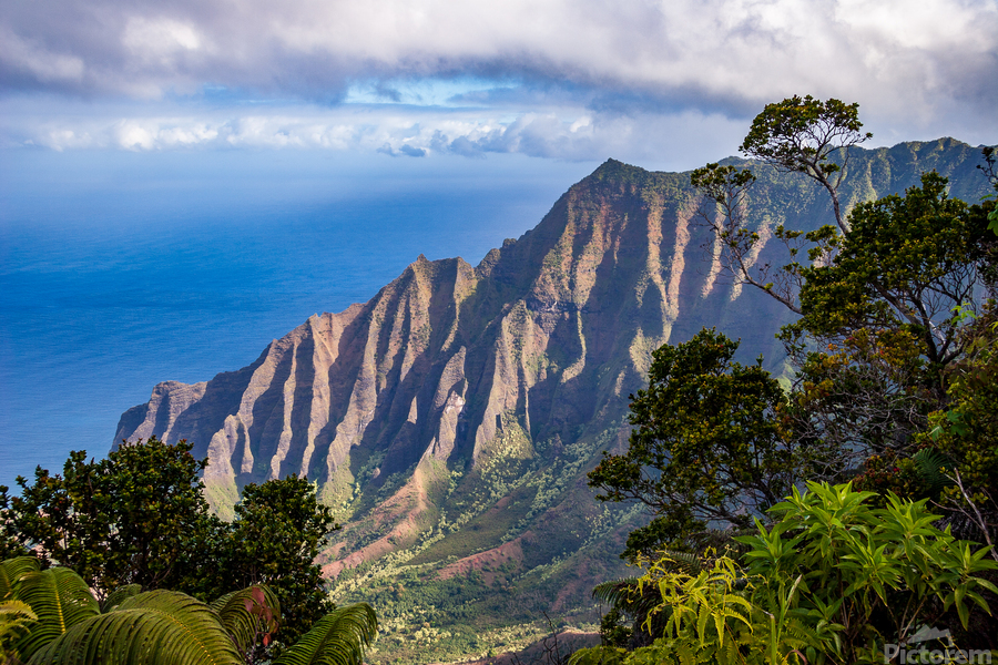Overlook of Kalalau Valley in Kauai  Imprimer