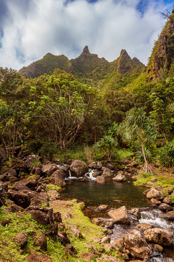 Jagged peaks above Lumahuli gardens  Print