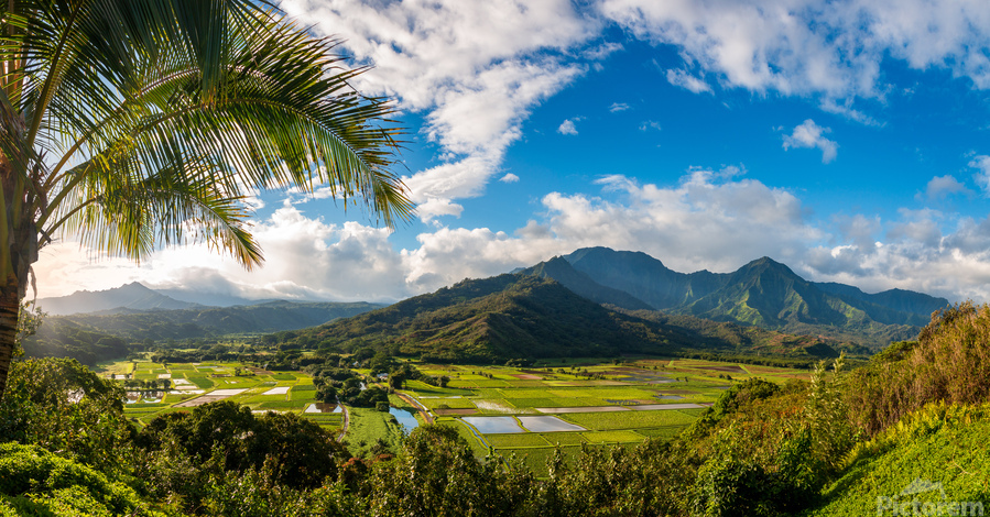 Hanalei valley from Princeville overlook Kauai  Imprimer
