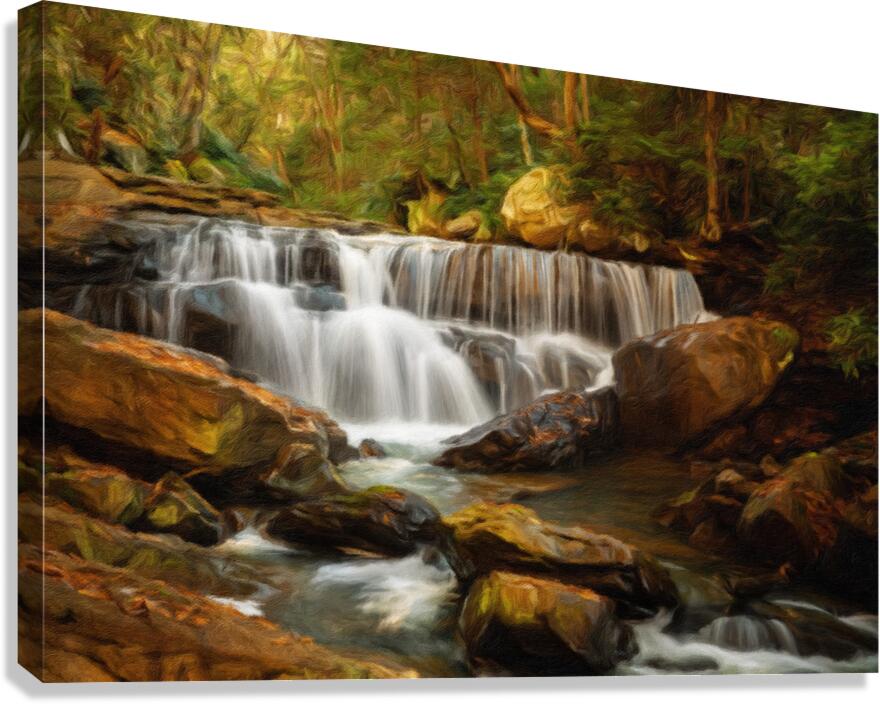 Impressionistic Deckers Creek waterfall in West Virginia  Canvas Print