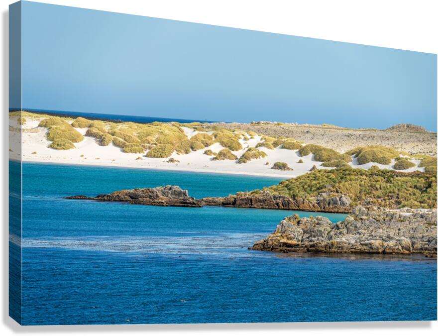 White sandy beaches near Port Stanley on Falkland Islands on sun  Impression sur toile