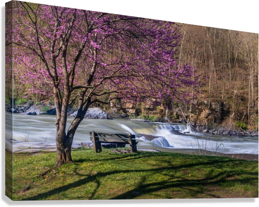 Wooden bench view of Valley Falls on spring morning  Impression sur toile