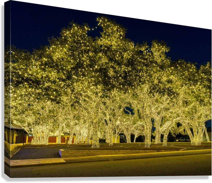 Holiday lights spectacular in Johnson City Texas Canvas Print