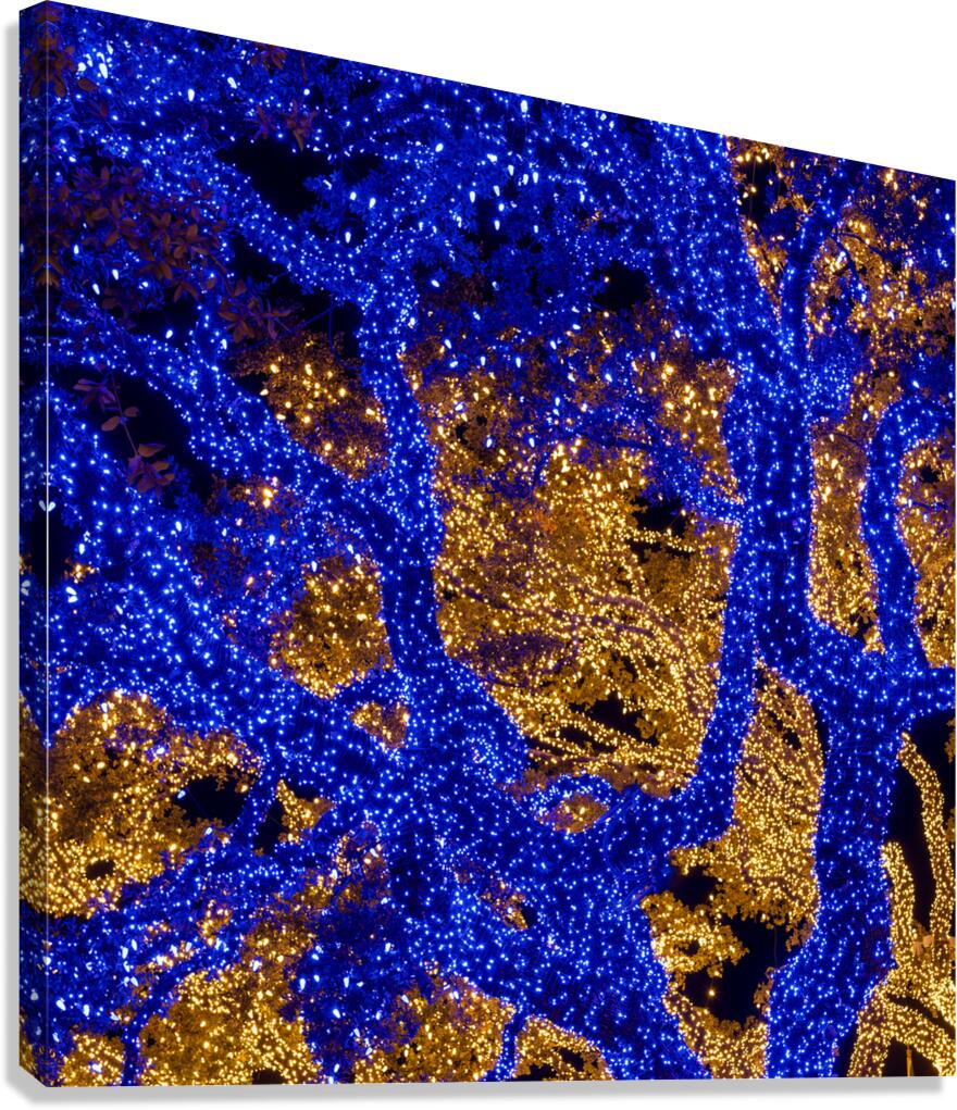 Holiday lights spectacular in Johnson City Texas Canvas Print