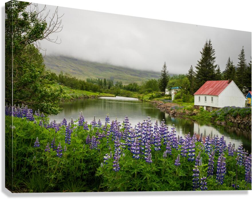 Peaceful scene in Seydisfjordur of river flowing from misty moun Canvas Print