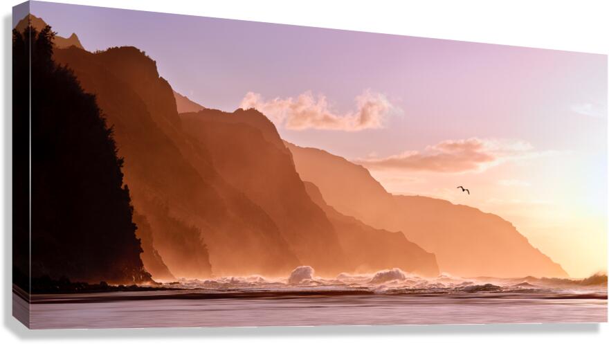 Kauai sunset with bird   Canvas Print