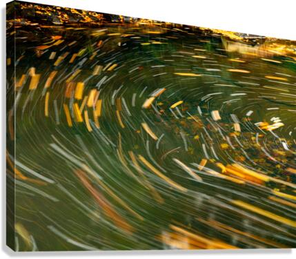 Swirling leaves on Deckers Creek  Impression sur toile