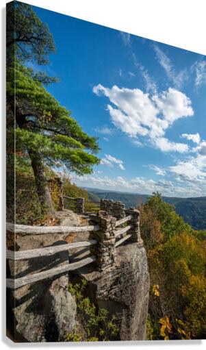 Coopers Rock state park overlook vertical format  Impression sur toile