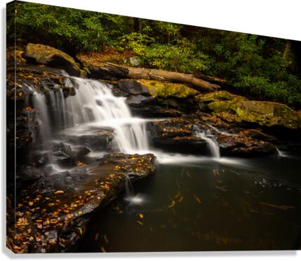 Waterfall on Deckers Creek near Masontown WV Canvas Print