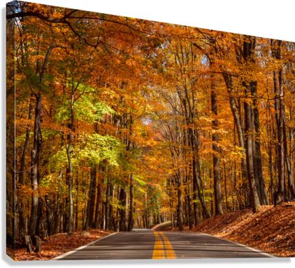 Road leading to Coopers Rock state park  Canvas Print