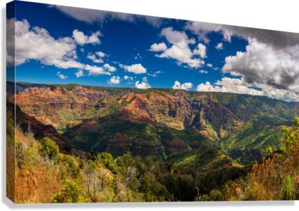 Panorama of the Waimea Canyon from the Iliau Nature loop  Canvas Print
