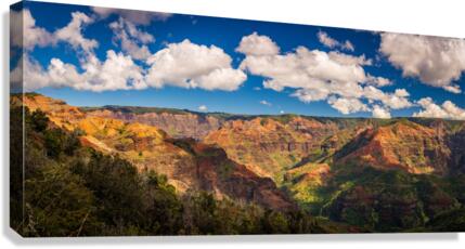 Panorama of the Waimea Canyon on Kauai  Canvas Print
