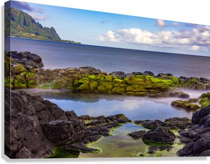 Long exposure image of the pool known as Queens Bath of Kauai  Canvas Print