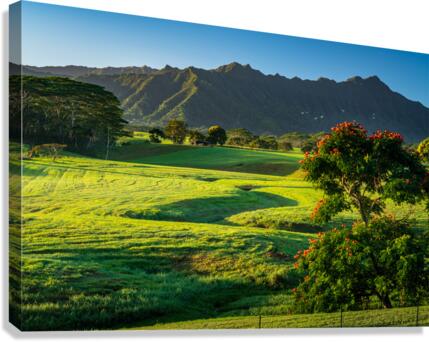 Early morning light on garden island of Kauai  Impression sur toile