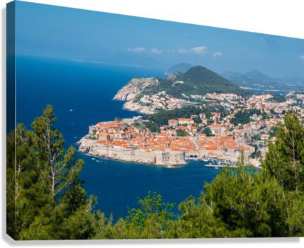 Fortress town of Dubrovnik in Croatia framed by trees  Canvas Print
