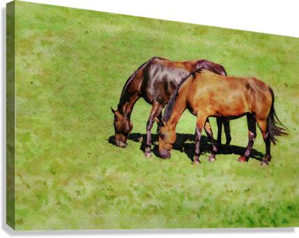 Digital water color of two brown horses  Impression sur toile