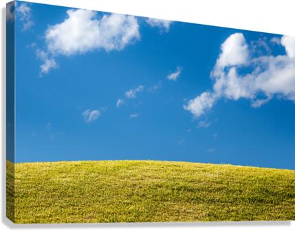 Green grassy lawn with blue sky and clouds  Canvas Print