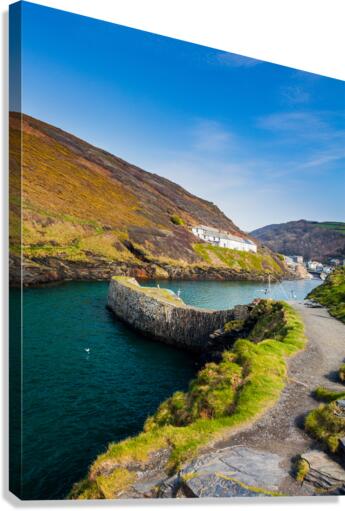Narrow path in front of colorful harbor in Boscastle  Canvas Print