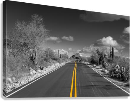 The road goes on for ever  Canvas Print